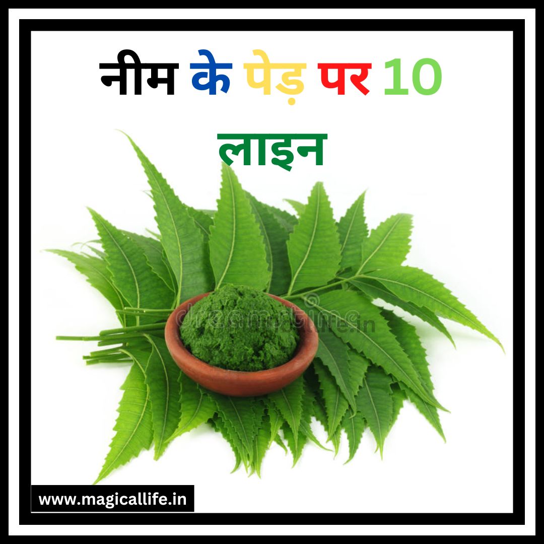 10 Lines on Neem Tree in Hindi नीम के फायदे और नुकसान MAGICALLIFE.IN