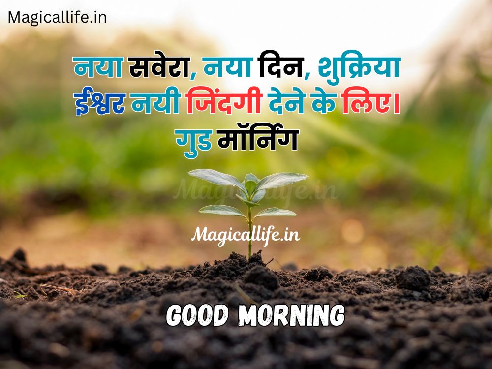 Good Morning Status in Hindi and English