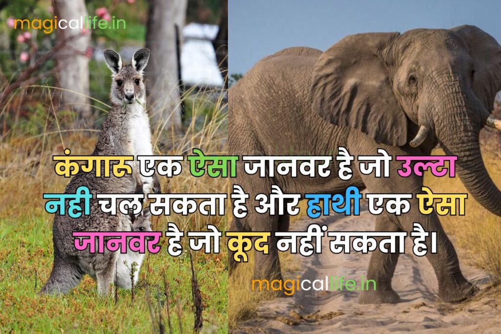 Top 10 Interesting Facts in Hindi दुनिया के 10 सबसे रोचक तथ्य