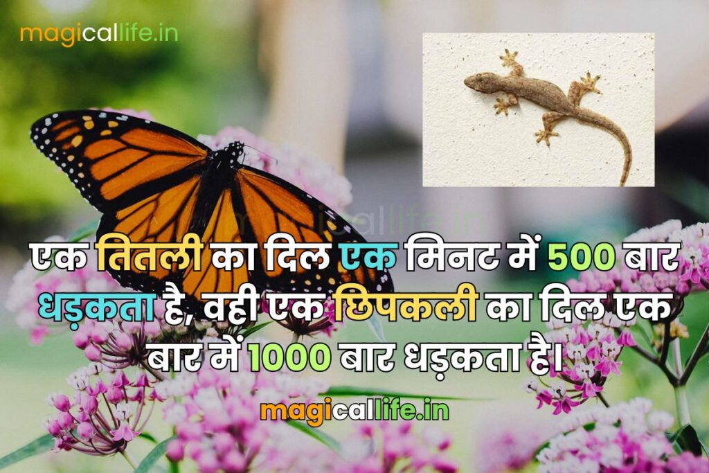 Top 10 Interesting Facts in Hindi दुनिया के 10 सबसे रोचक तथ्य