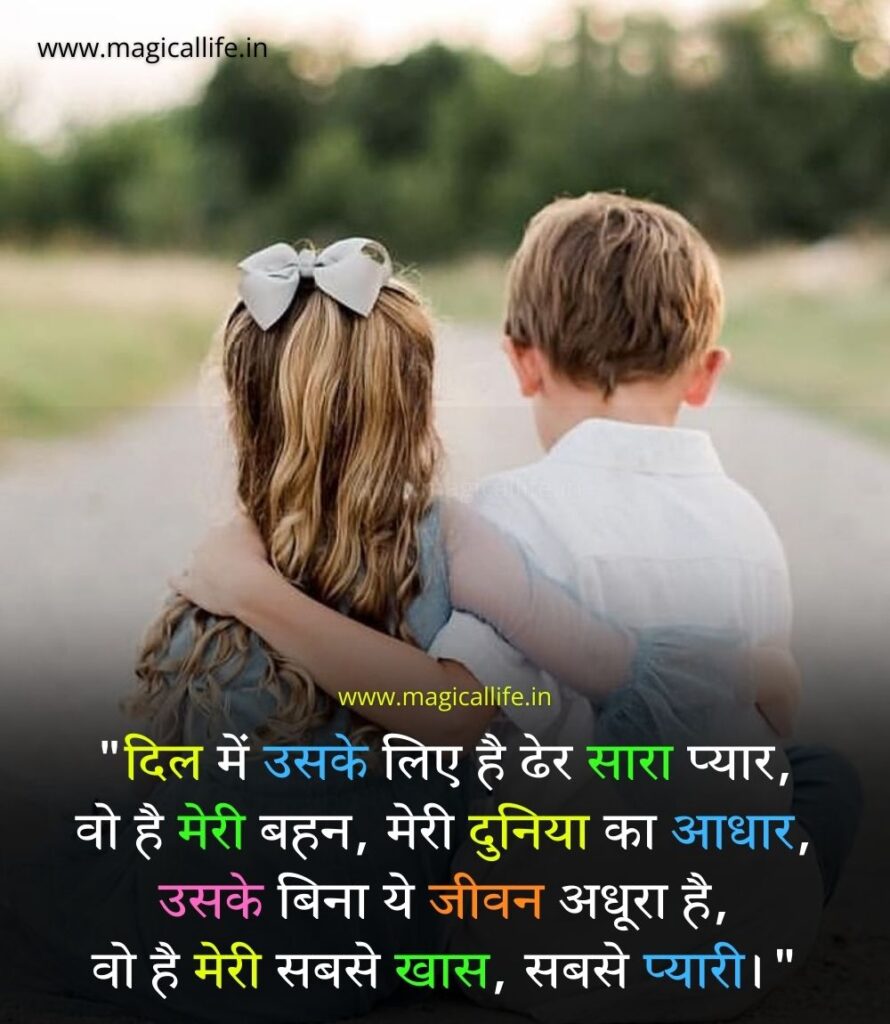 Sister Shayari in Hindi _ बहन पर शायरी _ Big Little Sister Shayari